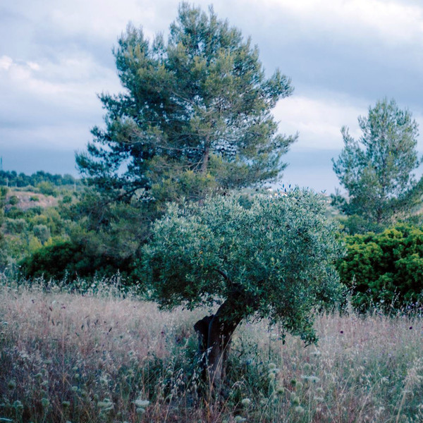 Fabio Orsi / Valerio Cosi - The Frozen Seasons of Lysergia (Part One)