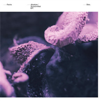 Facta - Sistine (Plucks)