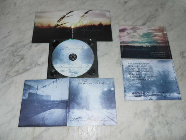 Fall to November Sky... - When the Sun Hits (Slowdive cover)