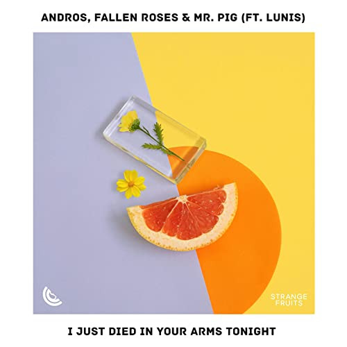 Fallen Roses - Don't Mind Me