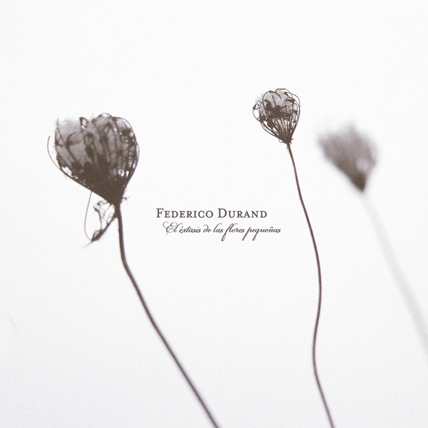 Federico Durand - Lluvia De Estrellas