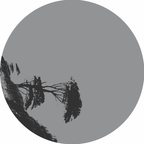 Felix K - Flower Of Destruction #4