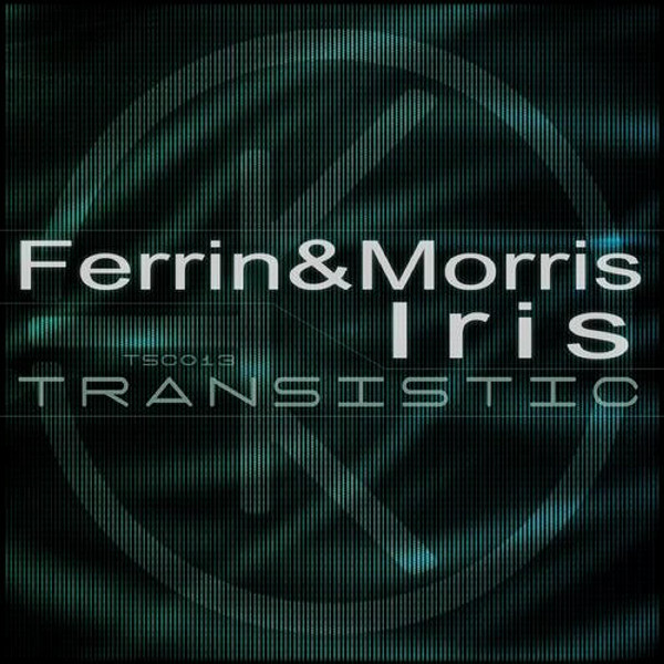 Ferrin & Morris - Changes [ASOT 649] - Original Mix