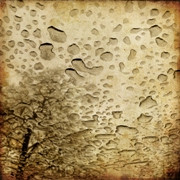 Field Rotation - Regenzeit II