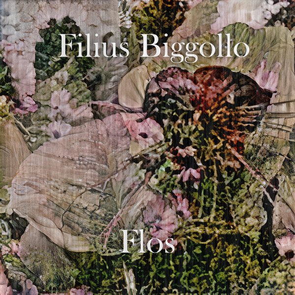 Filius Biggollo - 8,224796345