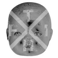 Fire In The Head - Psychotic Underground Mk. II