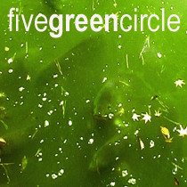 Five Green Circle - Verse 2the Chorus (Salz remix)
