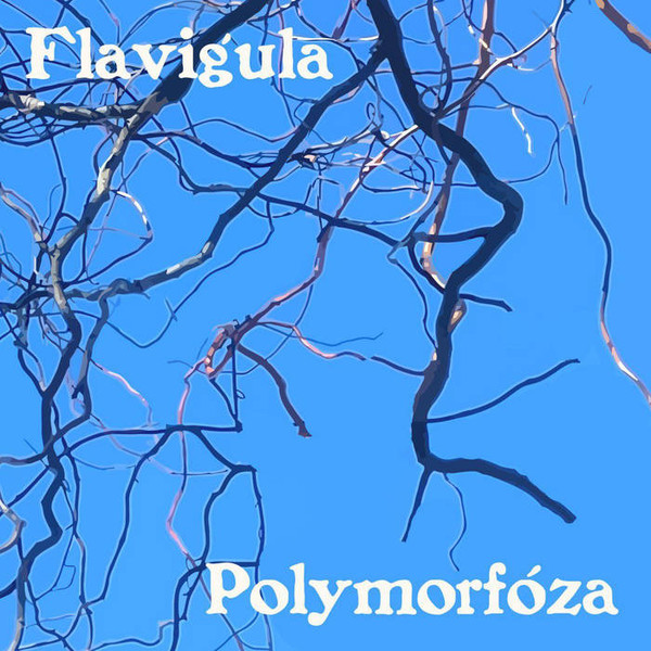 Flavigula - Organic Interference