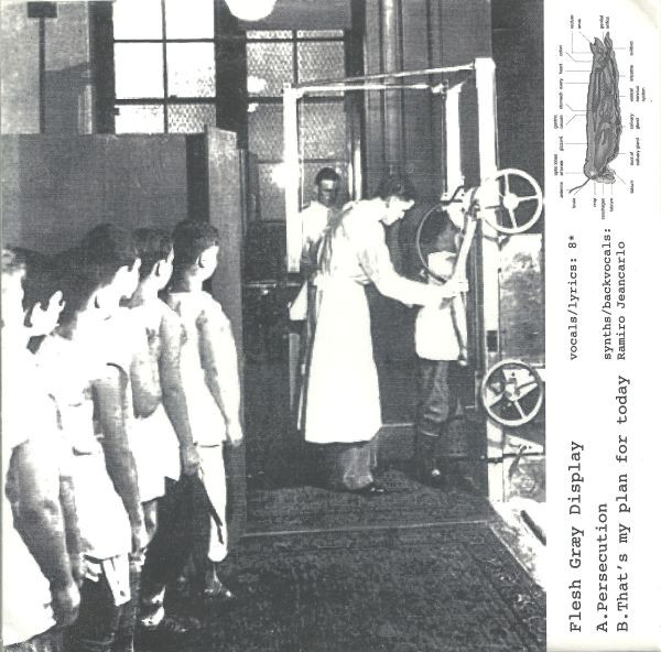 Flesh Graey Display - Insurmountable Typification