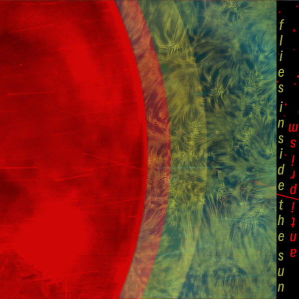 Flies Inside the Sun - Mothers Kiss