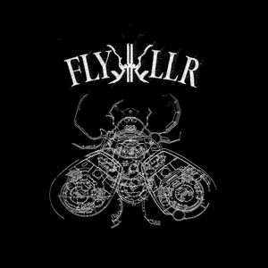 FlyKKiller - Controlled Environment