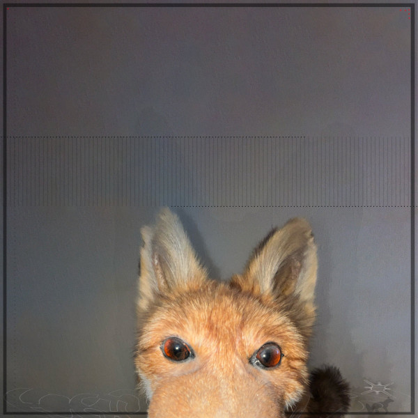 Fochs Koshka - Dingus Radford