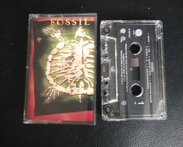 Fossil - Desperto
