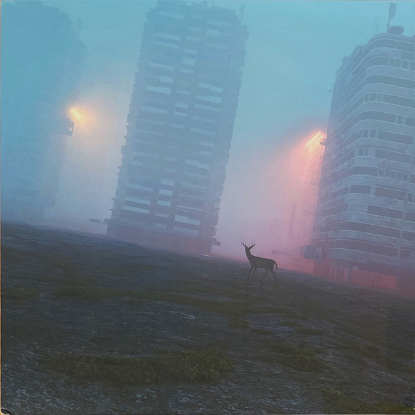 Franck Vigroux - Island shores
