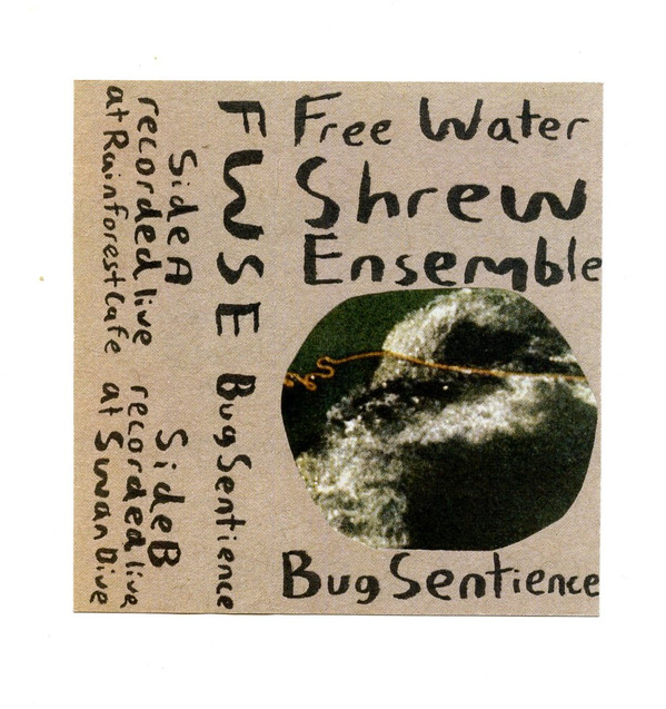 Free Water Shrew Ensemble - Mother Foucault's in Early December