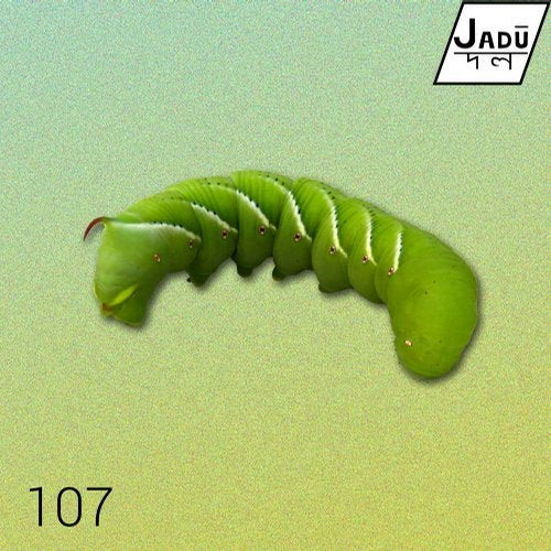Freebot - Dime Papi