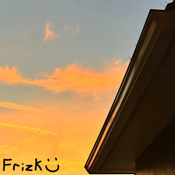 Frizk - Frizk Fundamentals!