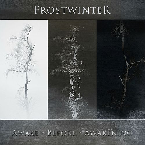 Frostwinter - The Negation Of Will