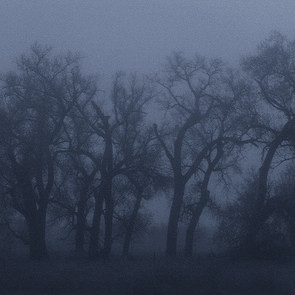 Frozen Silence - Loneliness