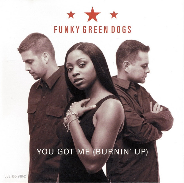 Funky Green Dogs - Fired Up