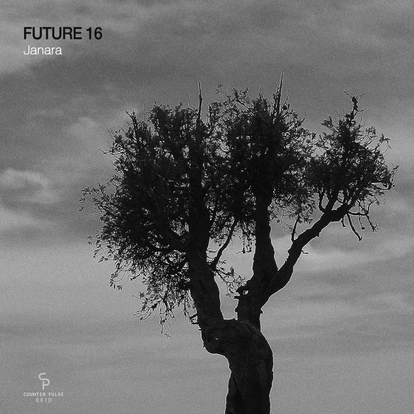 Future 16 - Ypah - original mix