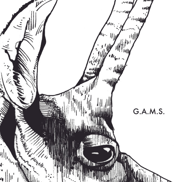 G.A.M.S. - Rumba