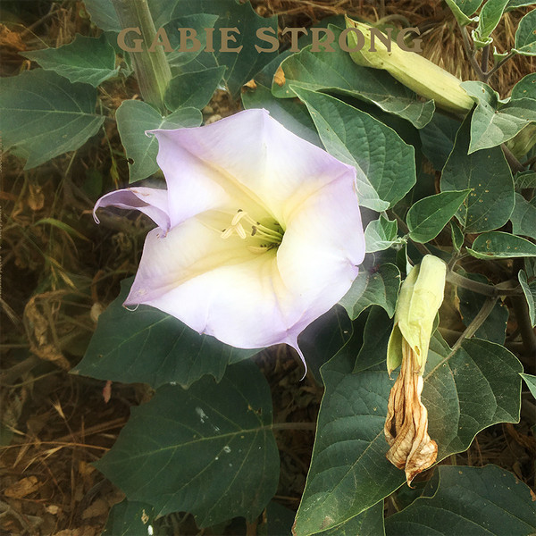 Gabie Strong - Lavender