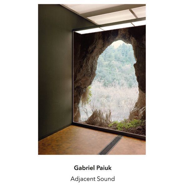 Gabriel Paiuk - Untitled
