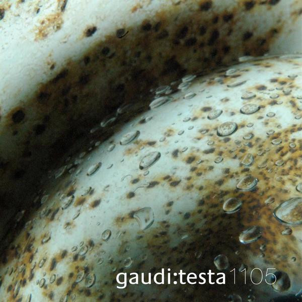 Gaudi & Antonio Testa - Bass Instinct