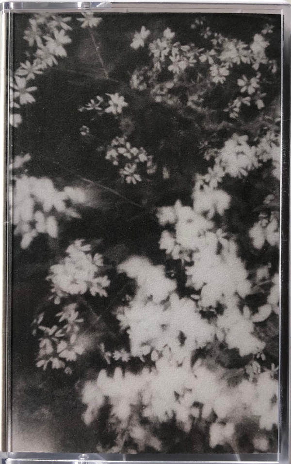 Glasslung - Breathes In
