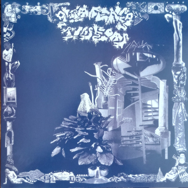 Glittering Insects - Calcified Time