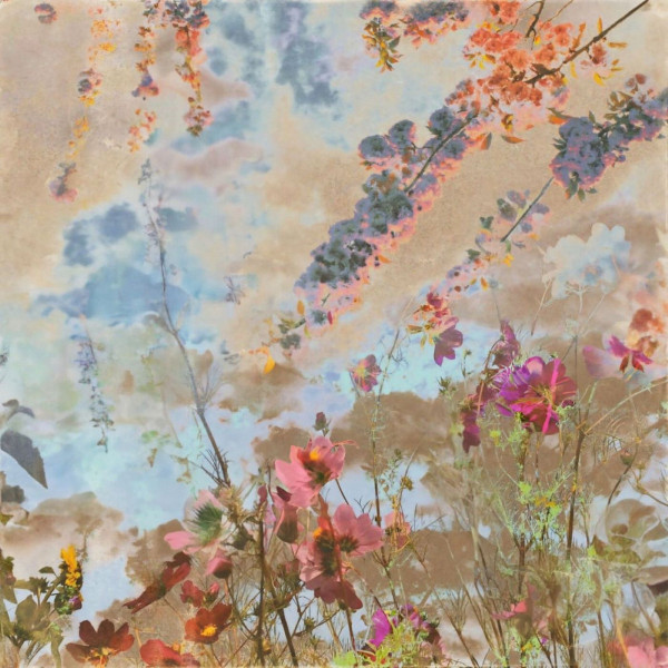 Gollden - Valerian