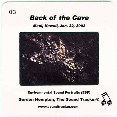 Gordon Hempton - Forest Rain (Charity Version)