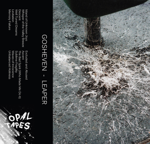 Gosheven - Well Tuned Dreams