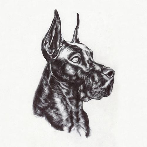 Great Dane - Stormy Weather