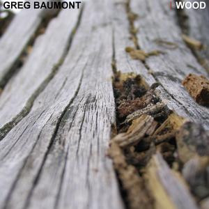 Greg Baumont - Le nettoyeur