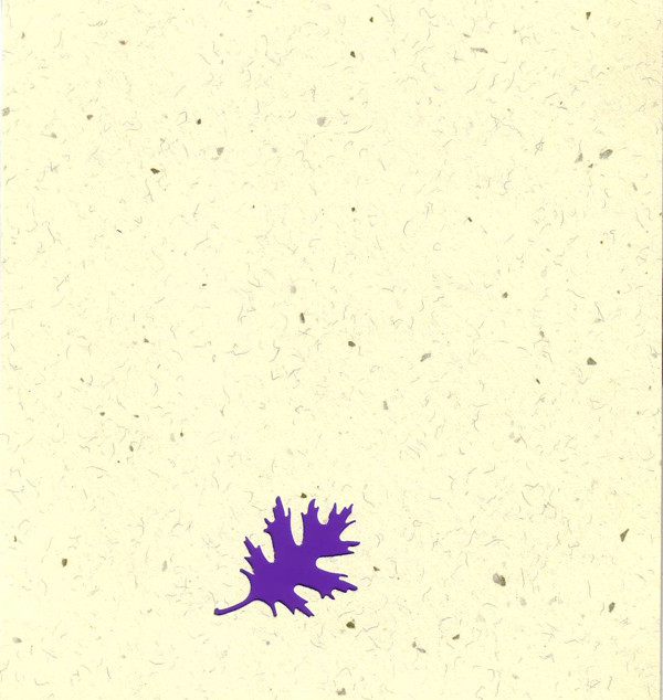 Greg Davis & Jeph Jerman - Second Strata
