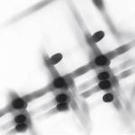 Gregor Samsa - Loud And Clear