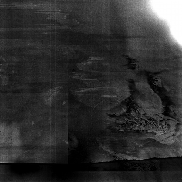 Grizzly Imploded - In the Darkness, a Small Boy