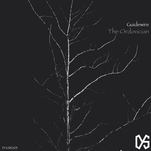 Guidewire - Next To