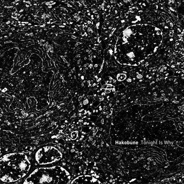 Hakobune - Shadow On the Lawn