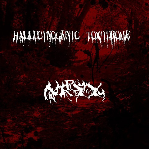 Hallucinogenic Toxidrome - Deformed