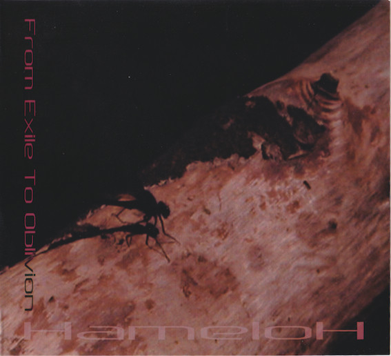 HameloH - Violet Leaves Lie