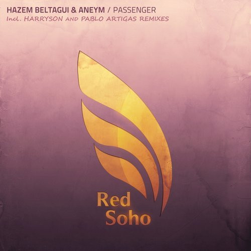 Hazem Beltagui & Aneym - Remember Me (Radio Edit)