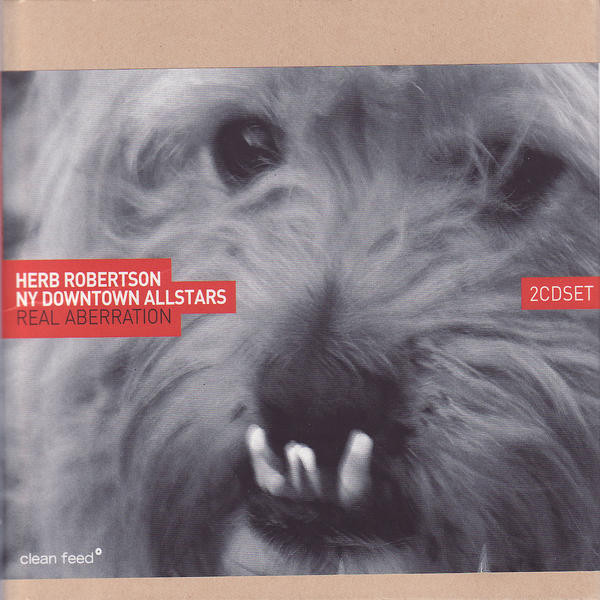 Herb Robertson NY Downtown Allstars - Elaboration