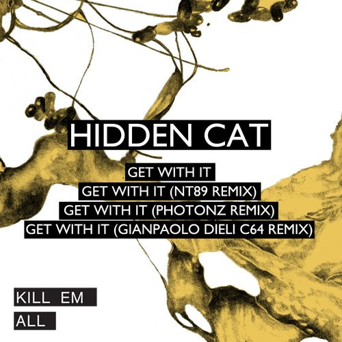 Hidden Cat - The Superfuture