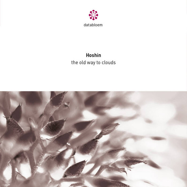 Hoshin - The All Is Aflame