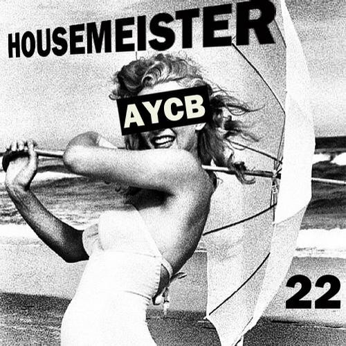 Housemeister - What You Want (Siriusmo Remix)