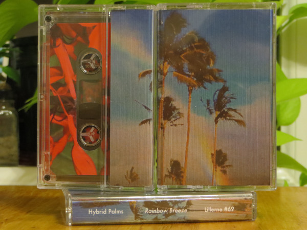 Hybrid Palms - Ocean Plaza
