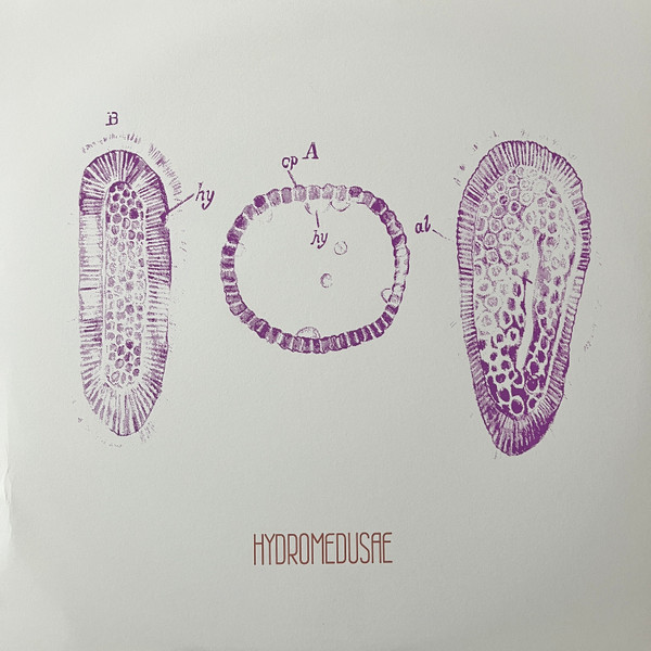 Hydromedusae - Lands